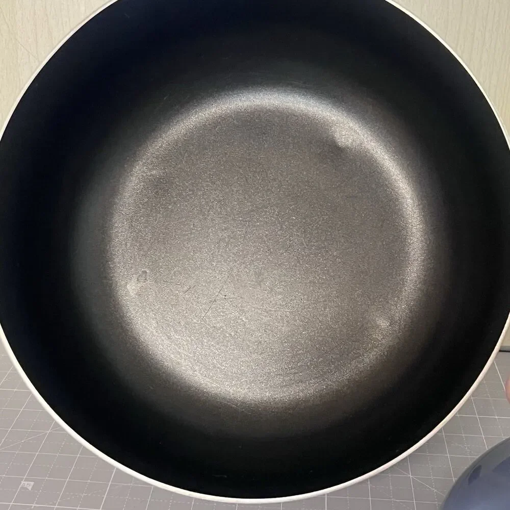NICE Vintage Goose Geese Electric Cooker Buffet Frying Pan Meyer Granny Country